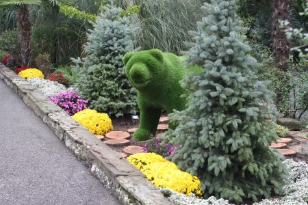 Внешний вид